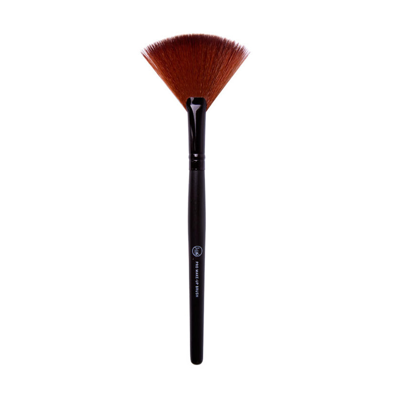 BR15 Fan Brush
